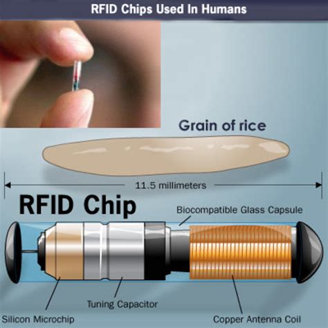 rfid tags in humans.